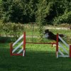 agility 2011-08